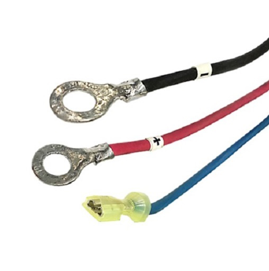 Lester DC Cord with Ring Terminals for TT-650W Battery Chargers