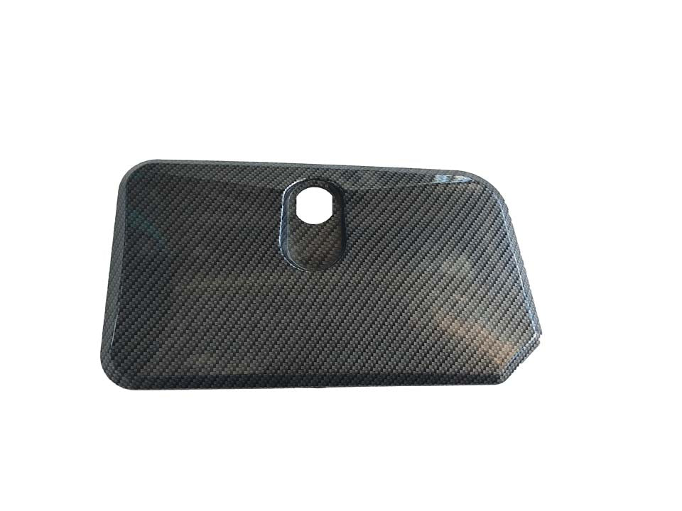 Evolution 2.03.2443 Door for Storage Box, Passenger Side