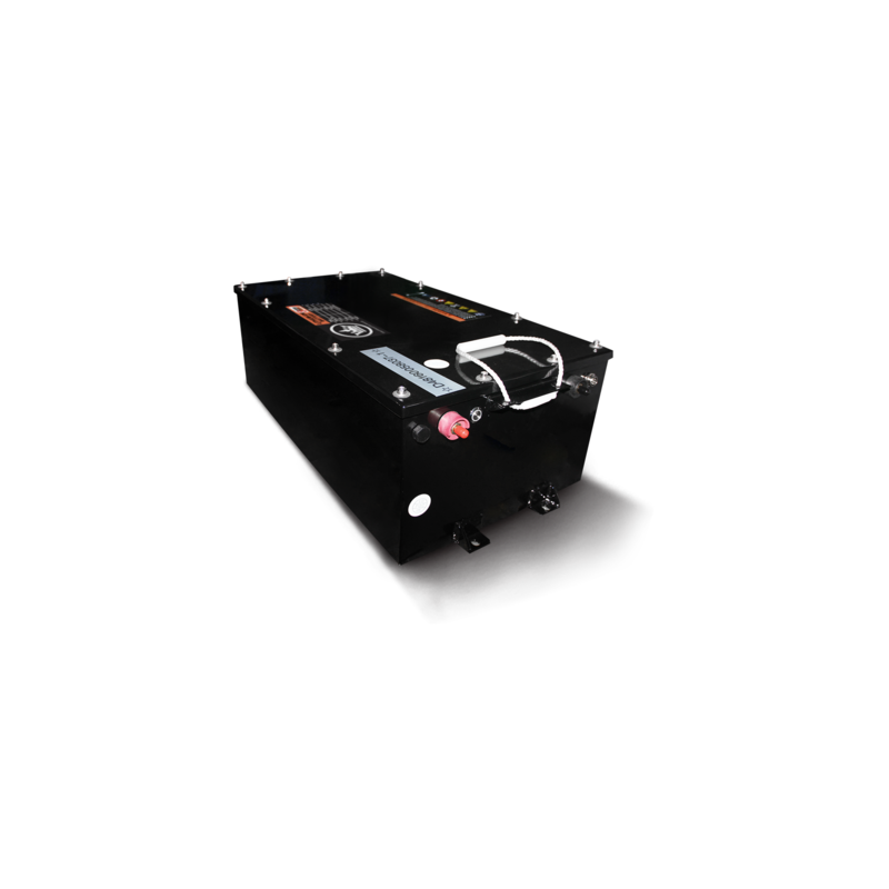 Evolution 2.04.1596-1 Lifepo4 Battery, DFD50 L48160-A(WITH CAN)