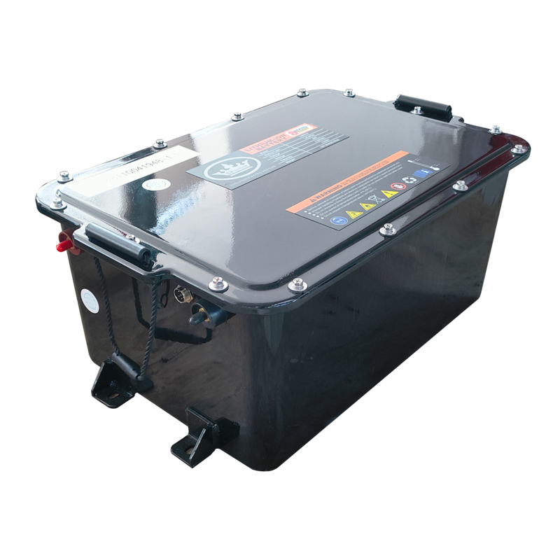 Evolution 2.04.1691 Lifepo4 Battery, Dfd 50-L48105-A(WITH CAN)